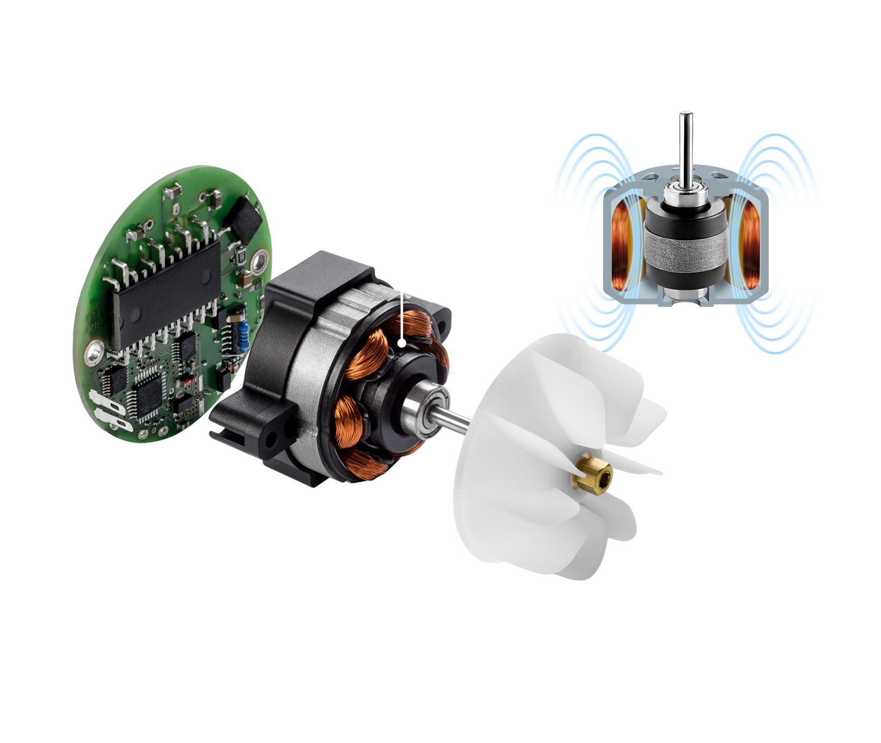 Valera Brushless motor1.jpg