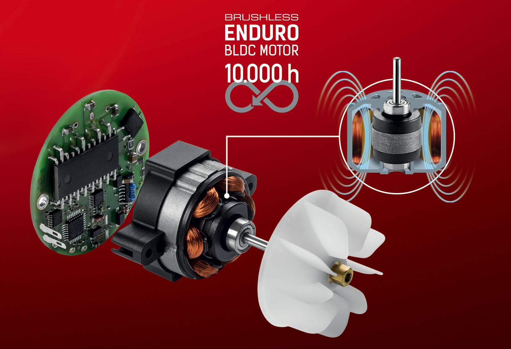Valera Brushless motor2.jpg